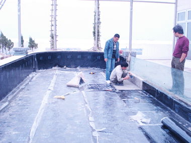 chống thấm dột