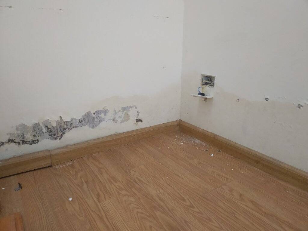 72aed8aeea6e4ae144bf4db26bc2730e