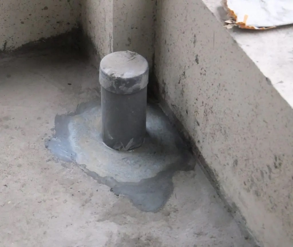 co ong xuyen san la gi