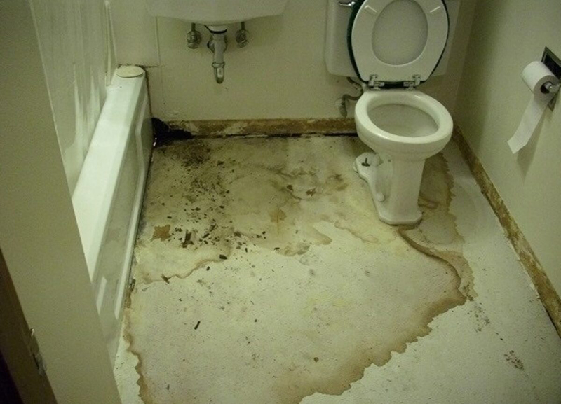 Để nhà vệ sinh bị thấm nước ảnh hưởng đến sinh hoạt và môi trường sống