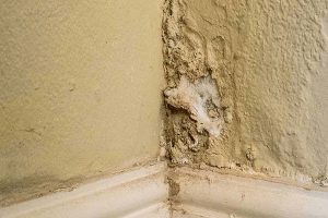 anh img nguyen nhan tham chan tuong