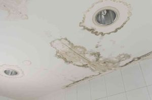 anh img nguyen nhan tham tran nha